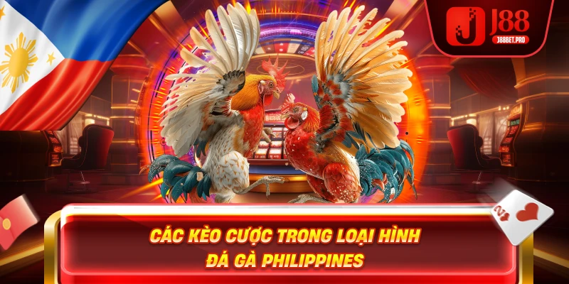 Đá Gà Philippines – Khám Phá Môn Thể Thao Của Thời Đại 3 Các kèo cược trong loại hình đá gà Philippines