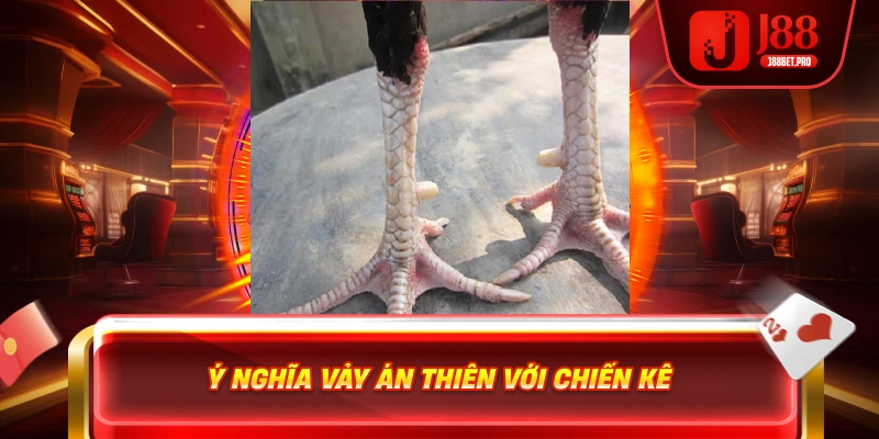 Vảy Gà Án Thiên – Đặc Điểm Quý Hiếm Mang Lại Chiến Thắng 4 Ý nghĩa vảy Án Thiên với chiến kê